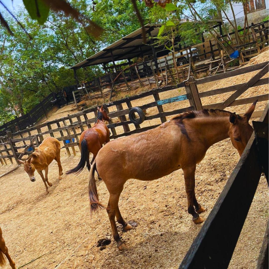 Pousada Jovimar Aparecida  Buitenkant foto
